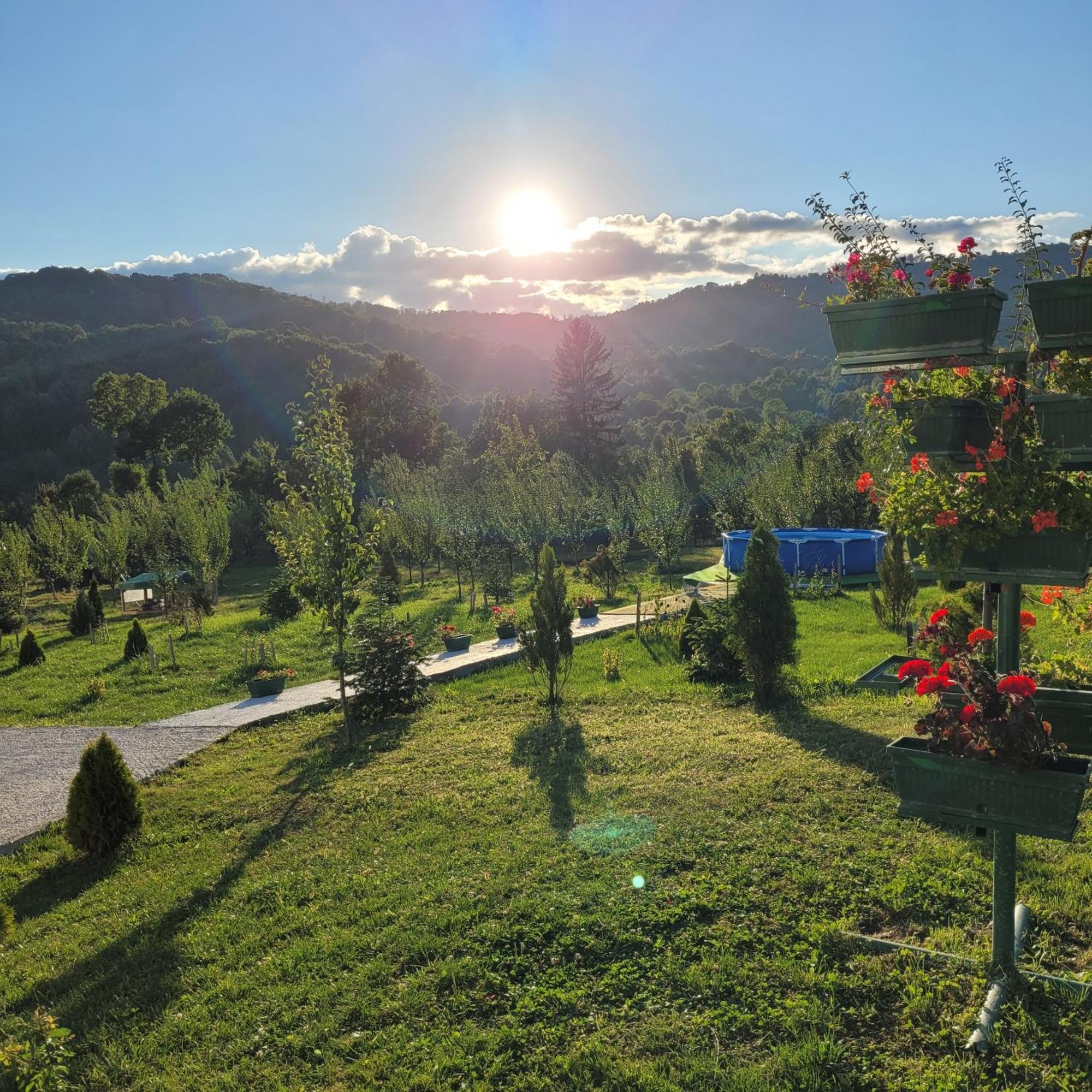 Hanul Doctorului Badeni-Runcu Vila 2 Fieni Exterior foto